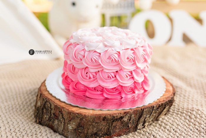 Fundo fotográfico rosa para menina, princesa bolo quebra